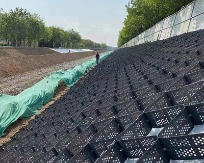 Lub Hom Phiaj Ntawm Lub Geogrid Yog Dab Tsi?